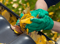 gardening services melbourne